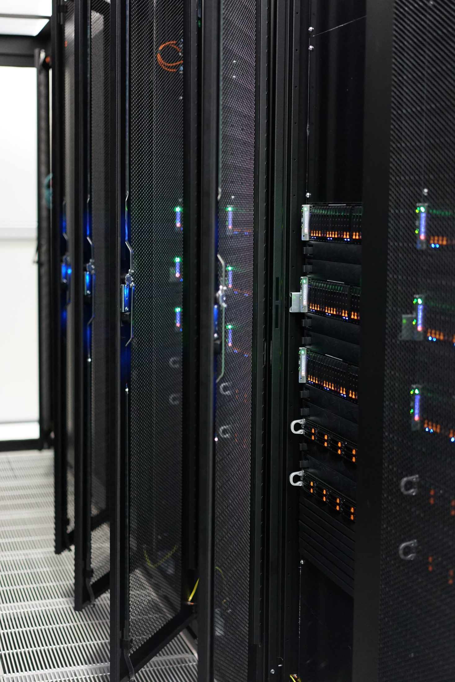 Servers behind a mesh door with orange drive LEDs and blue status lights